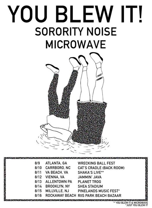 You Blew It - U.S. Tour - Poster- 2015