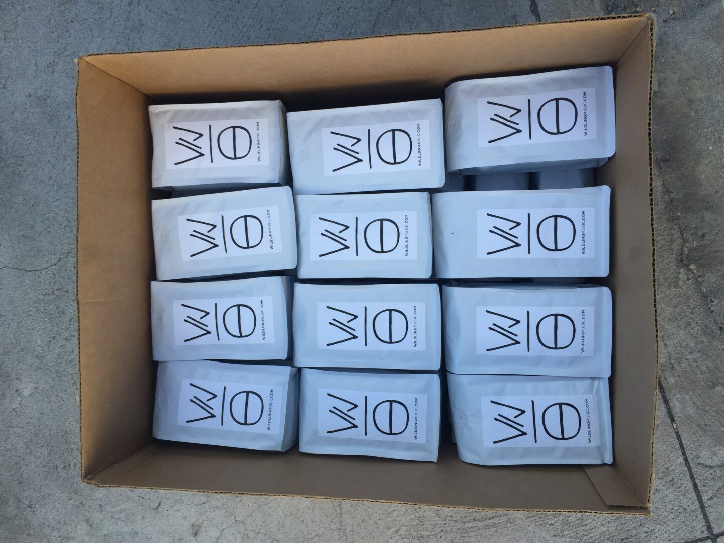 Wilding - blog 1 (2)