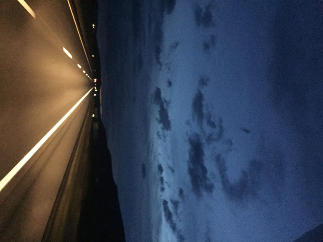 Wilding - blog 1 (4)