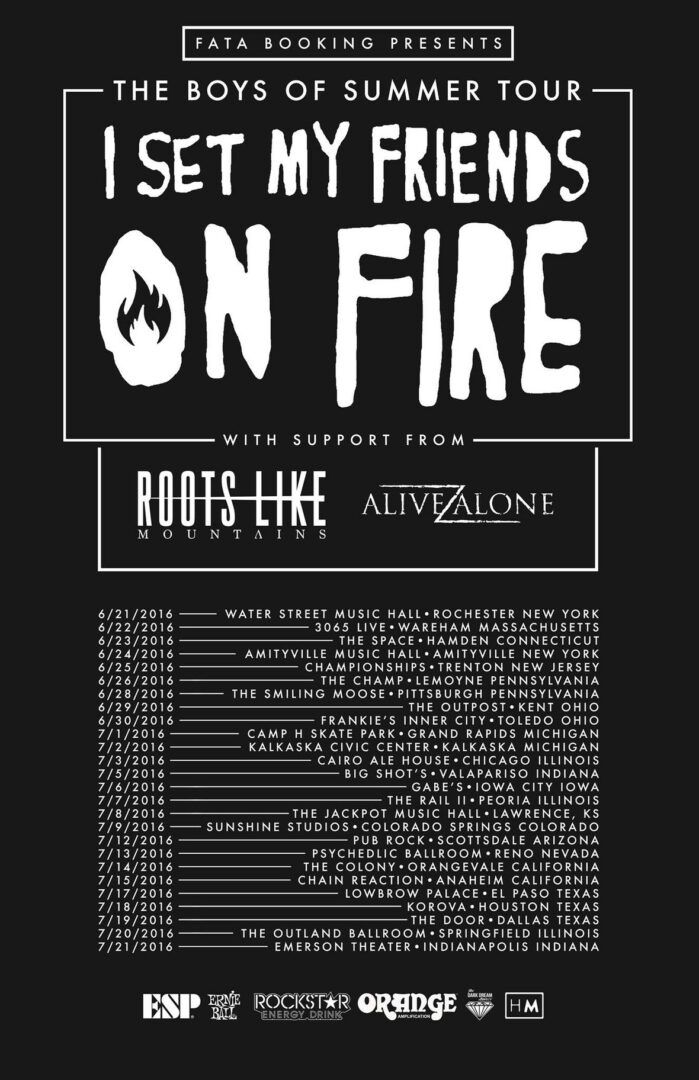 I Set My Friends on Fire - The Boys Of Summer Tour - poster