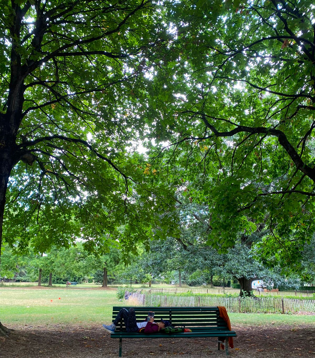 A Letter to the Quiet Ones (and Other Small Kindnesses)