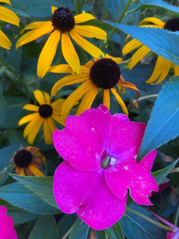 We are not lost. We know the paths we are on.