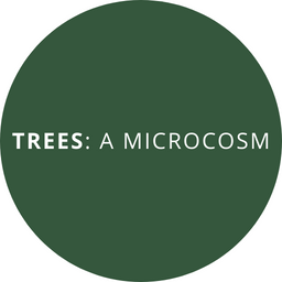 The Responsibility of Philanthropy to the Women's Rights Space