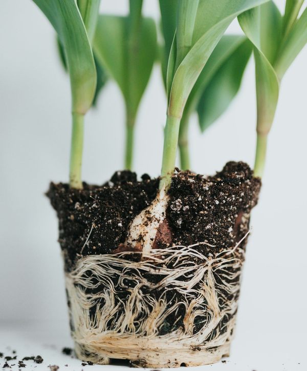 A Shift in Platforms: Moving to Ghost