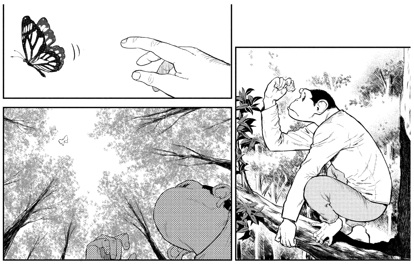 charlie and butterfly in tree