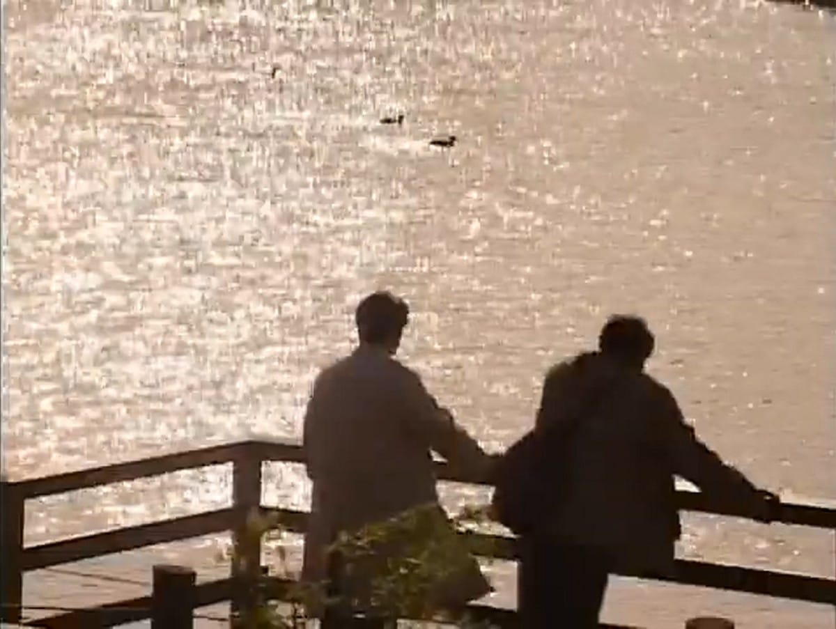 hamura and shinjyo watch the ducks out on the river by the railing