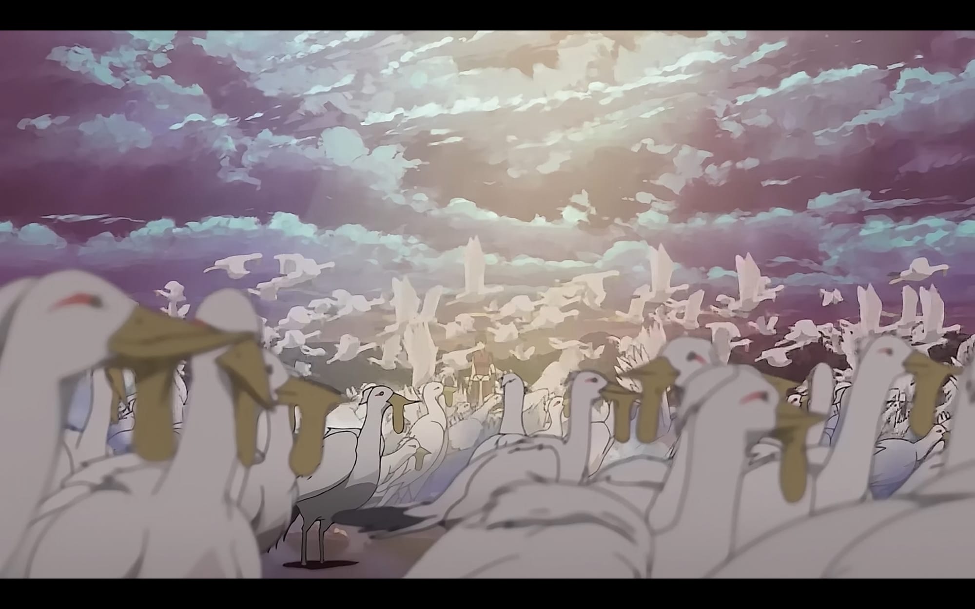 a flock of nahji, white birds with pockets under their beaks