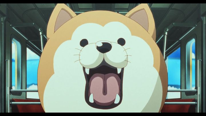 smiling shiba inu on train