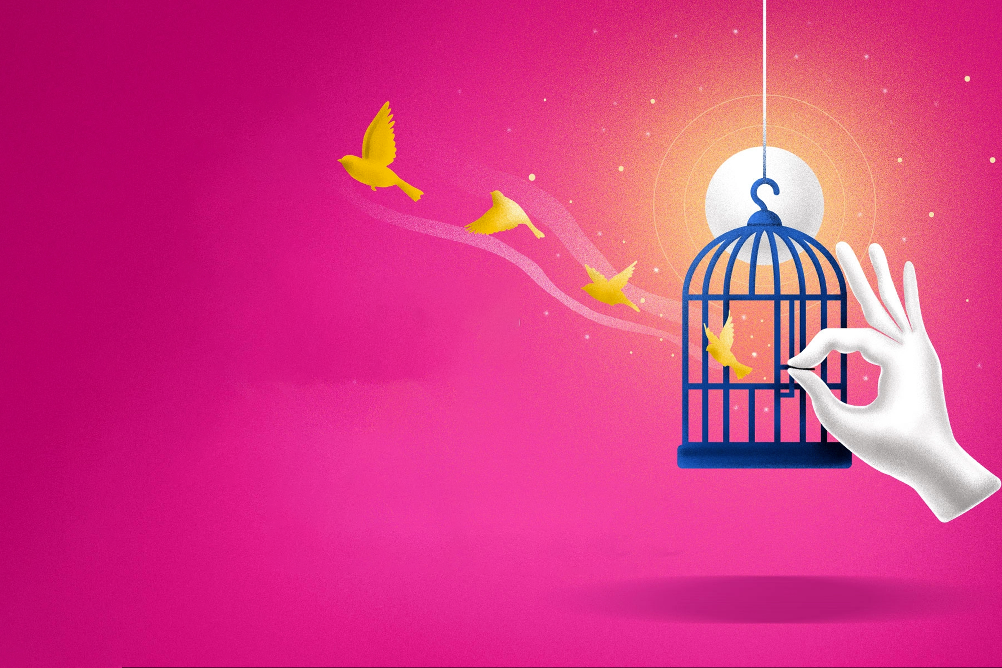 Fynocrat Technologies Pvt. Ltd.