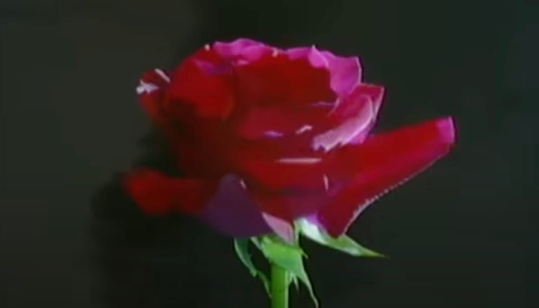 The Instant Fan Chronicles, Part 3