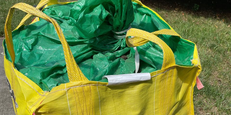 Soil pH: The Foundation of a Healthy Lawn