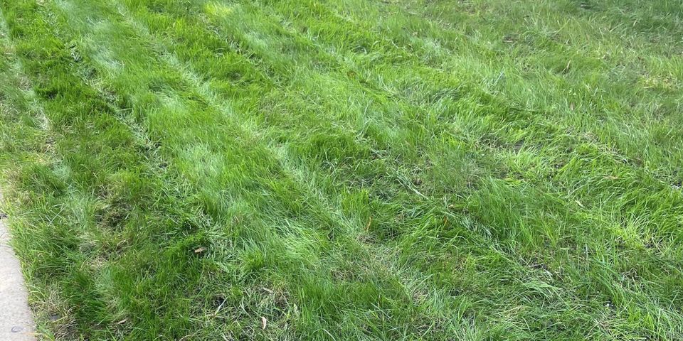 Fall Guide (Sept-Nov)