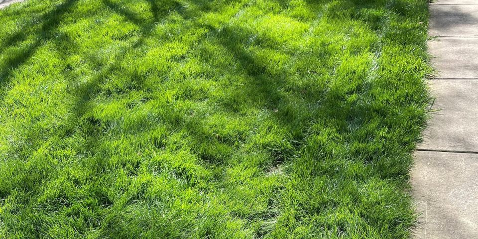 Spring Guide (Feb-May)