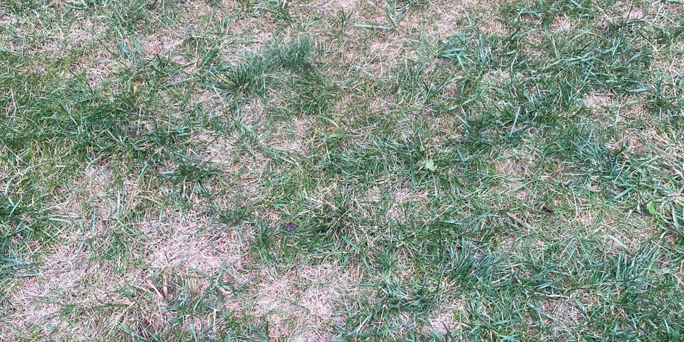 Summer Guide (Jun-Aug)