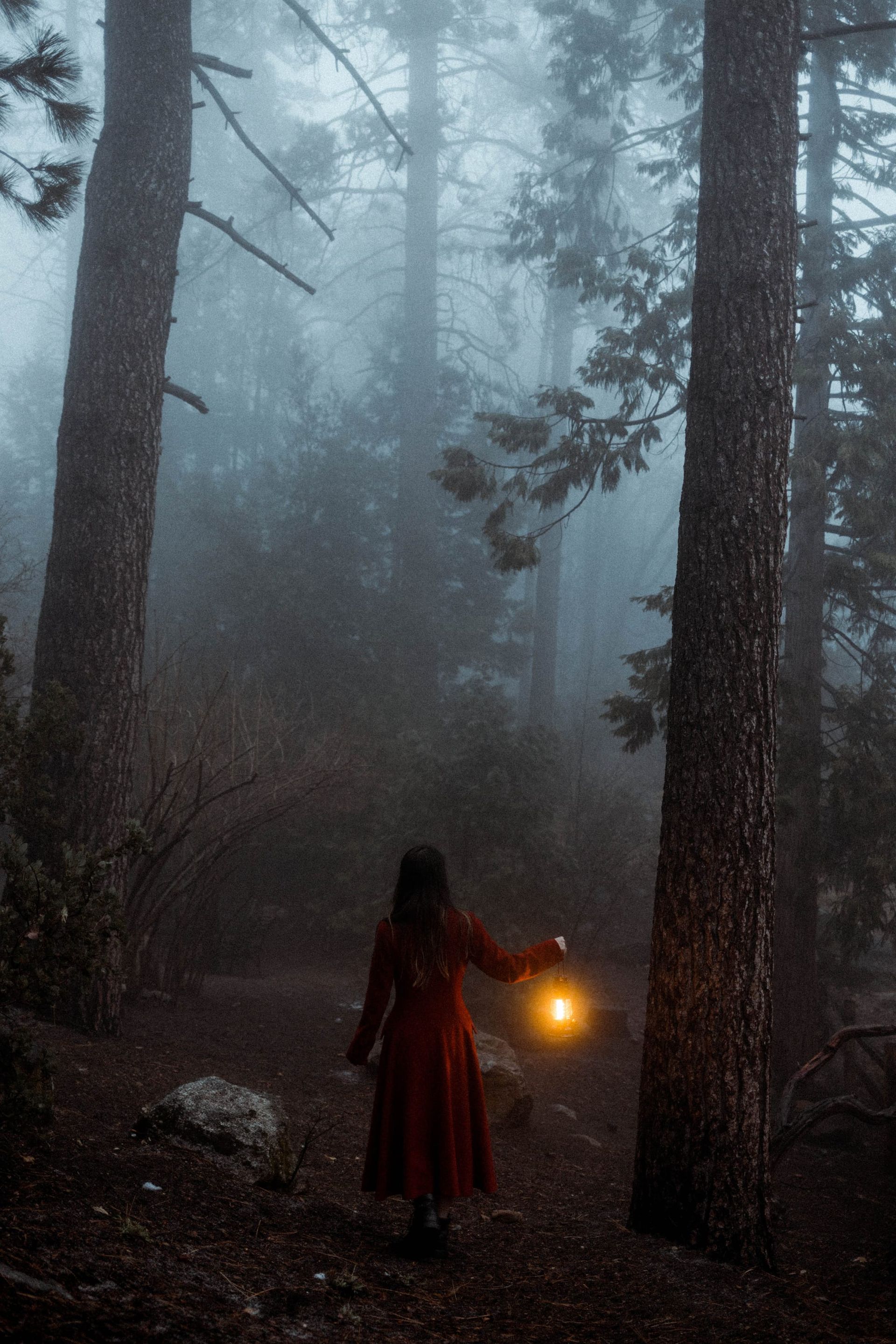 One day, I wandered into the forest and never came back.