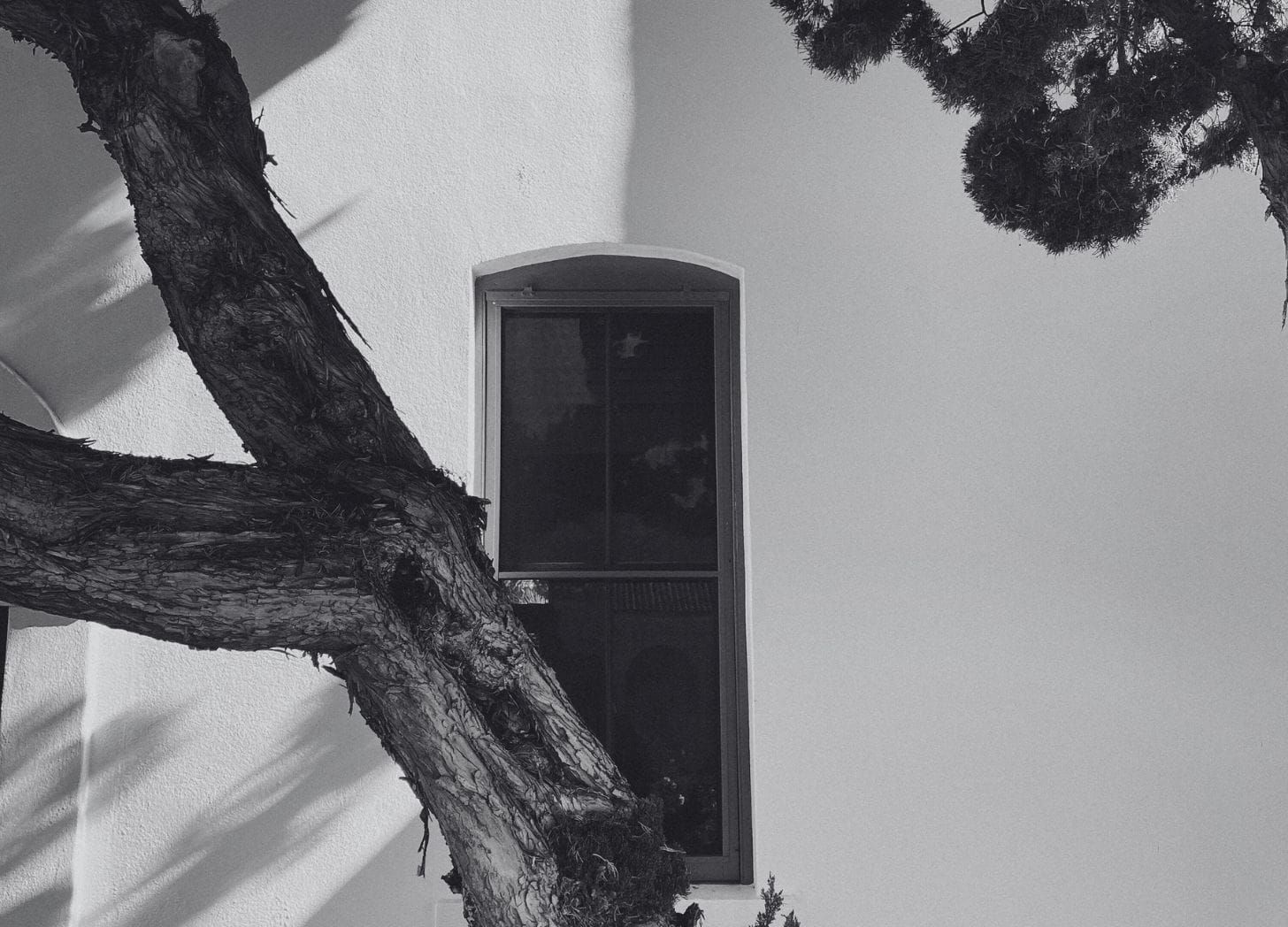 Yes, in spite of everything