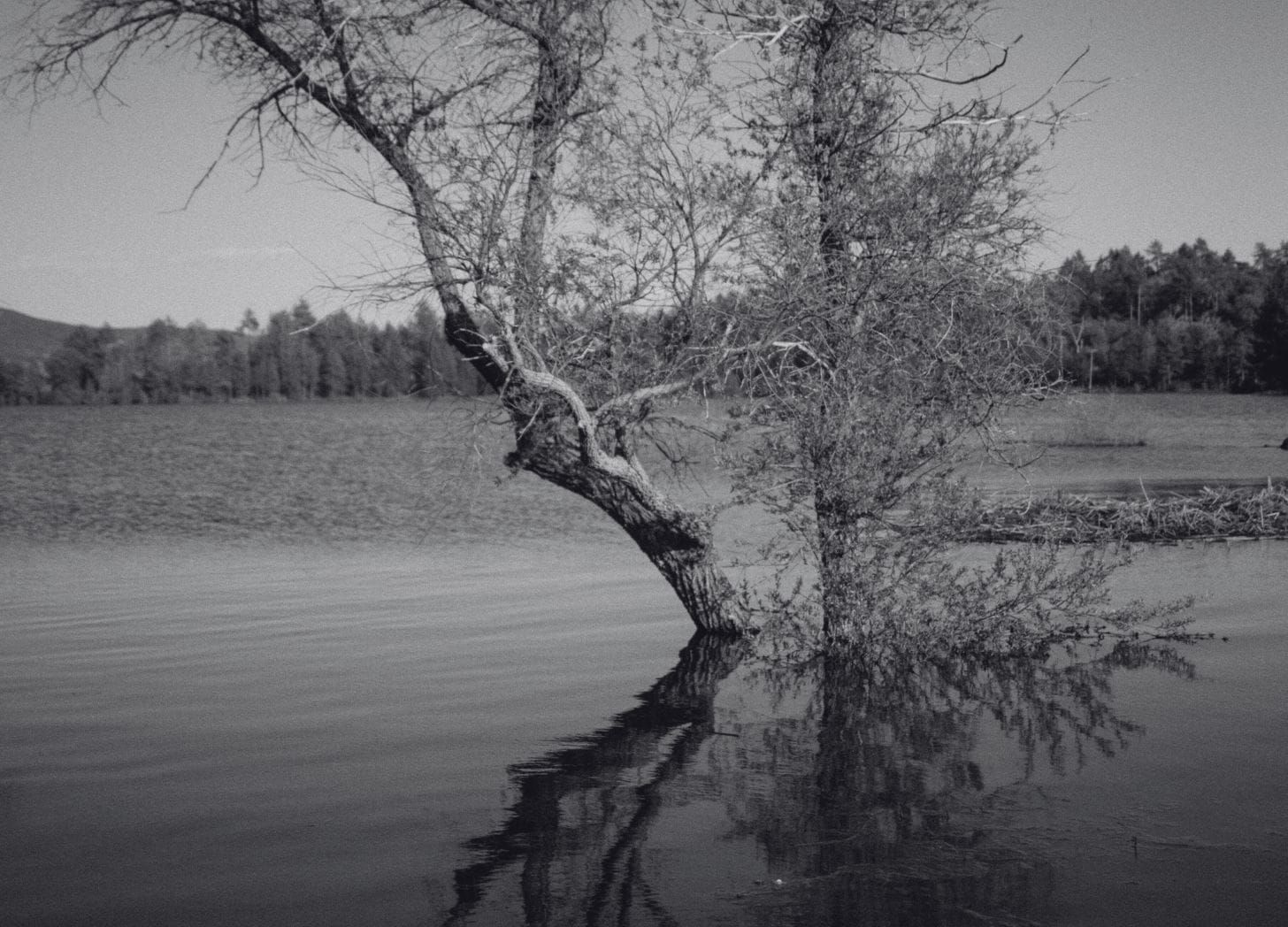 This is the fourth year since your son died