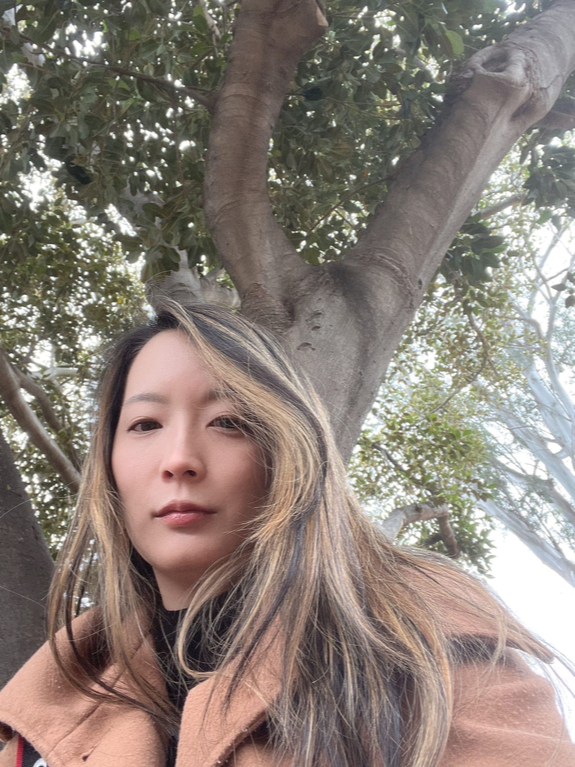 Finding a tree and sitting on its giant roots for a while is quite healing. 100% recommend.