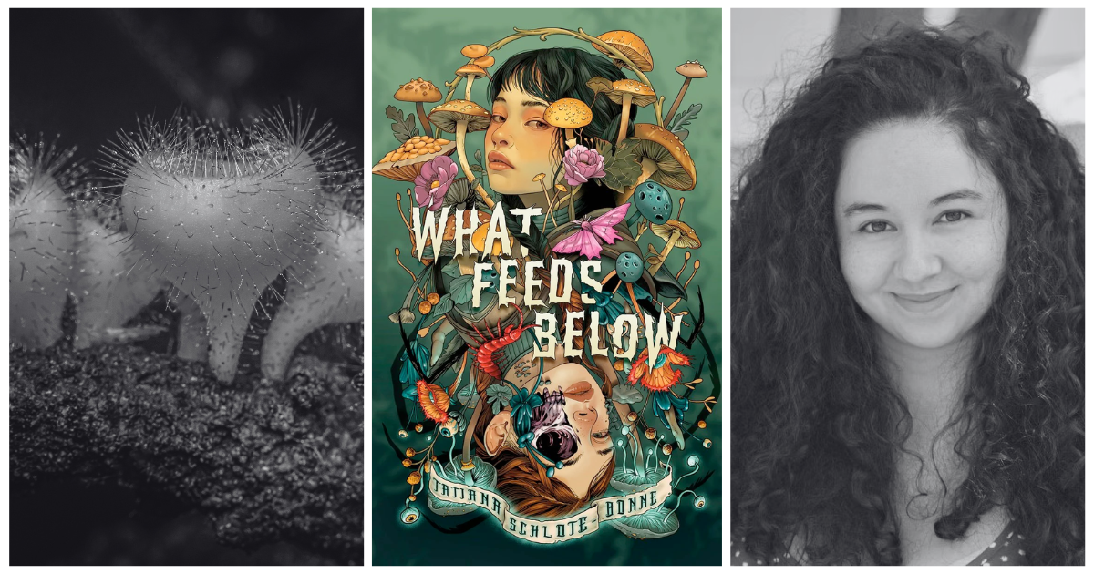 What Feeds Below by Tatiana Schlote-Bonne