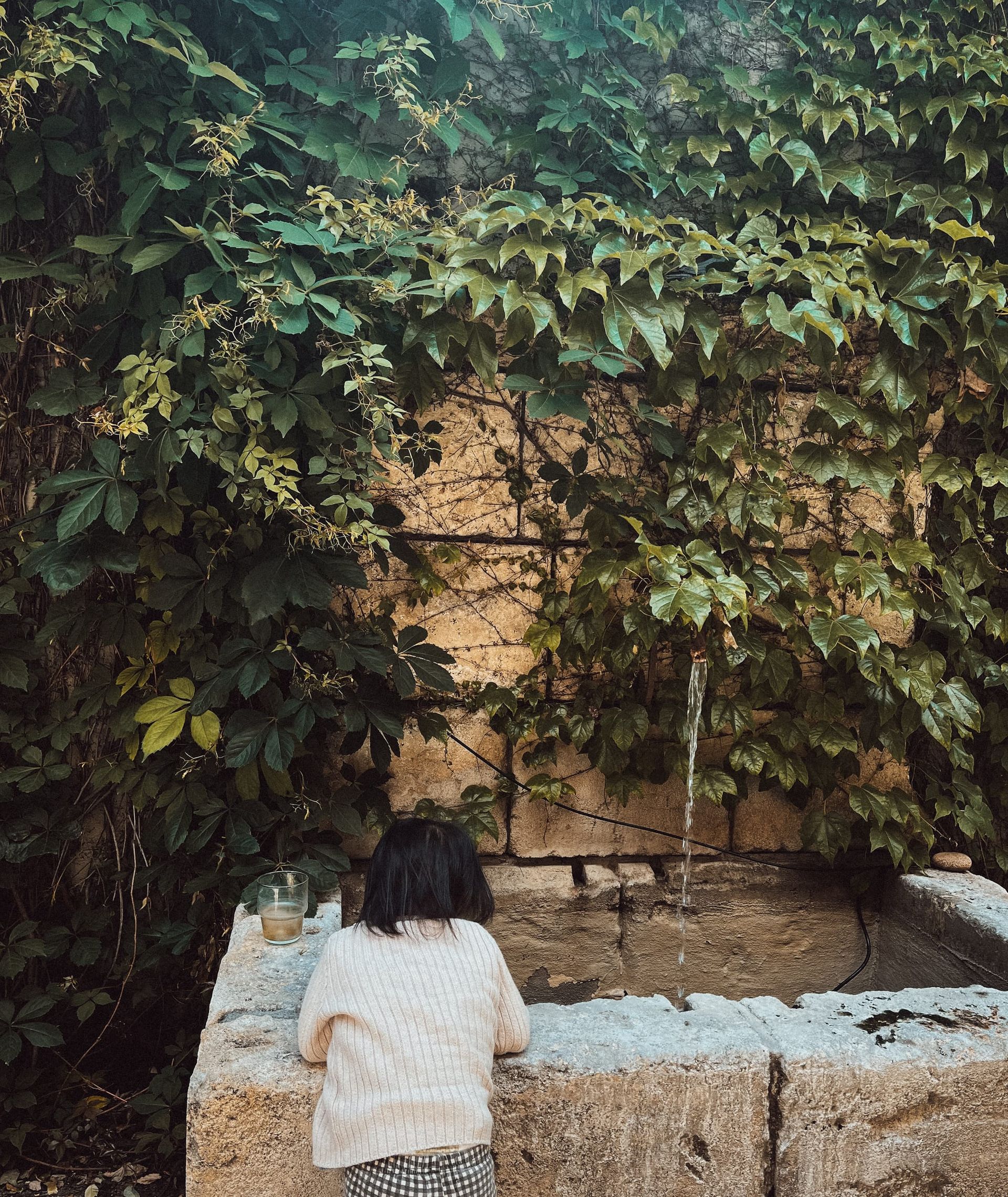 The Secret Garden vibes.