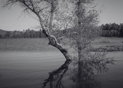 This is the fourth year since your son died