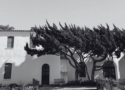 Tracing Your Shadow through Shifting Leaves