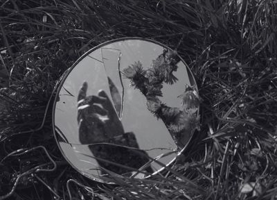 You don't actually know Charlie Kirk