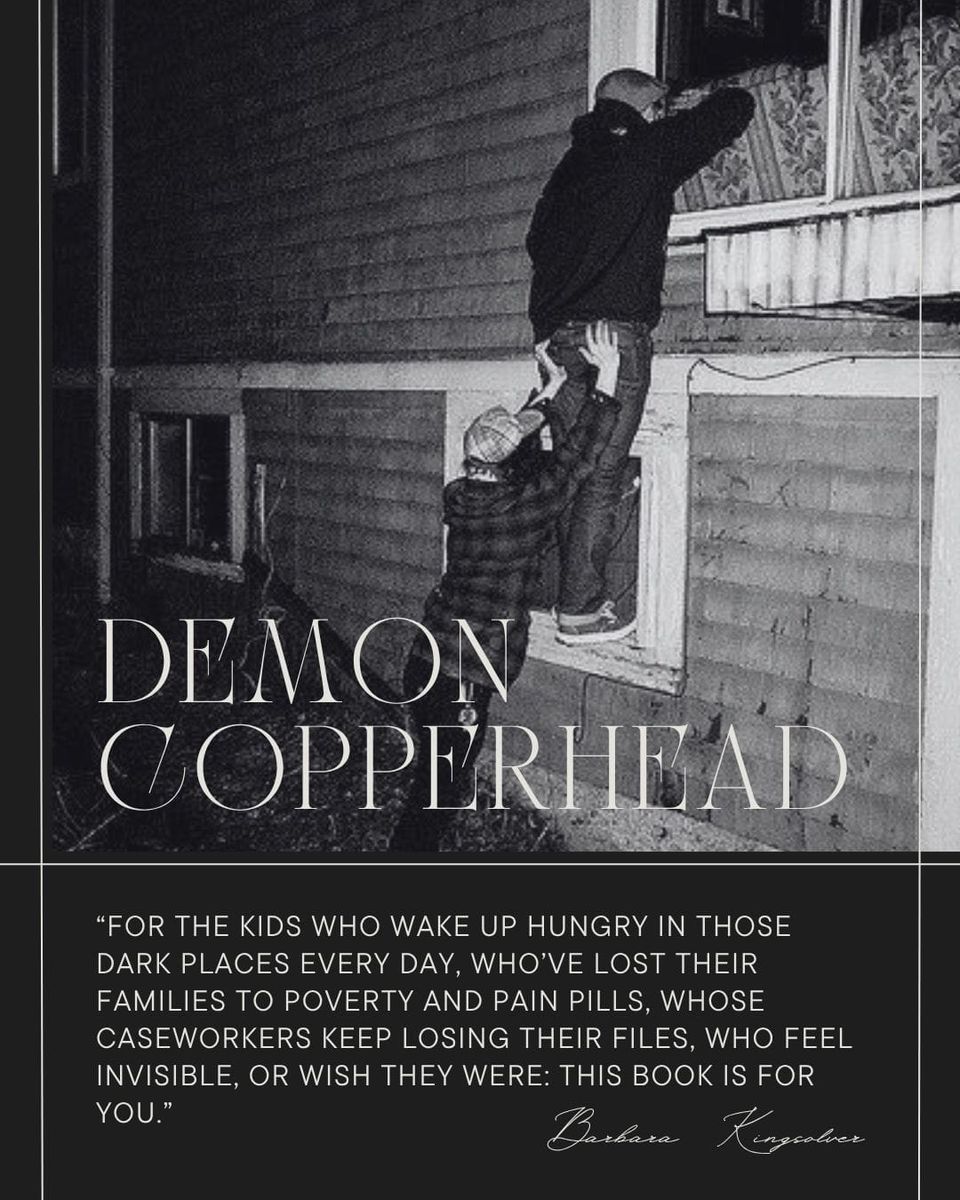 Demon Copperhead verdict: it was so incredible, I made graphics