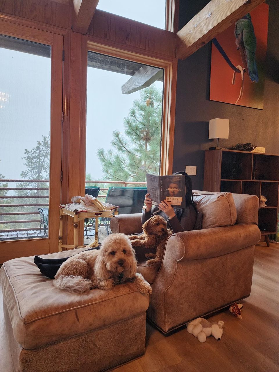 Rainy days reading in the mountains