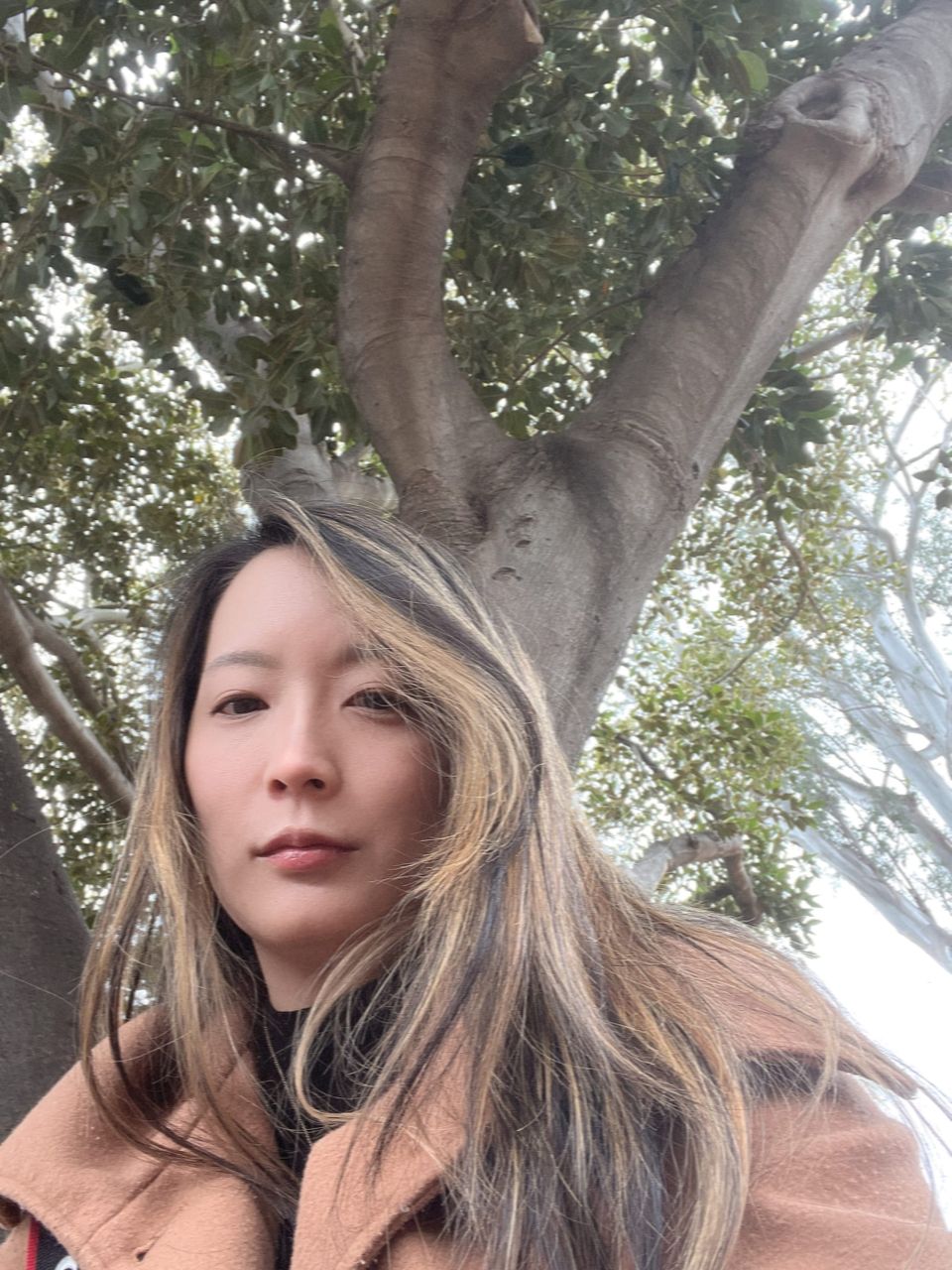 Finding a tree and sitting on its giant roots for a while is quite healing. 100% recommend.