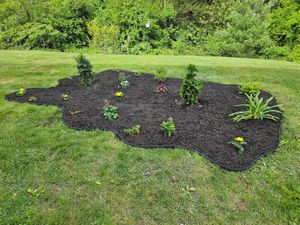 Landscaping for the first time