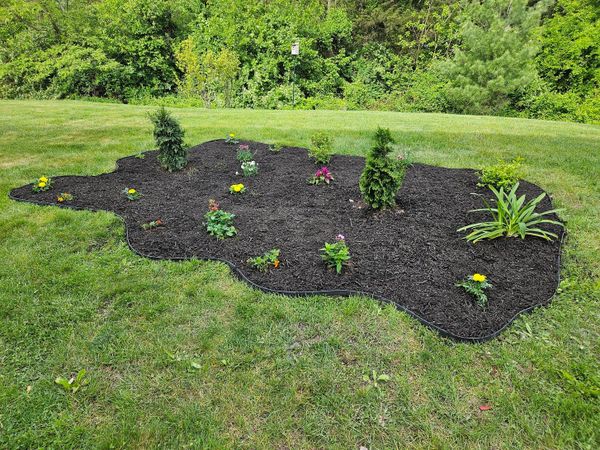 Landscaping for the first time