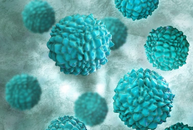 norovirus