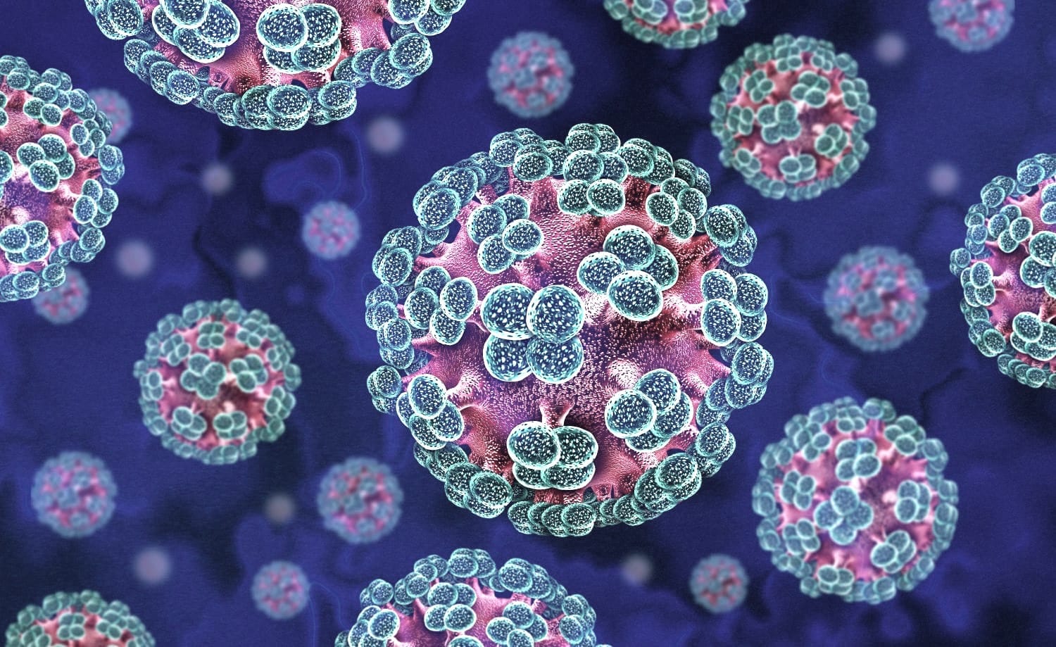 Imagen viorlógica del virus hantavirus