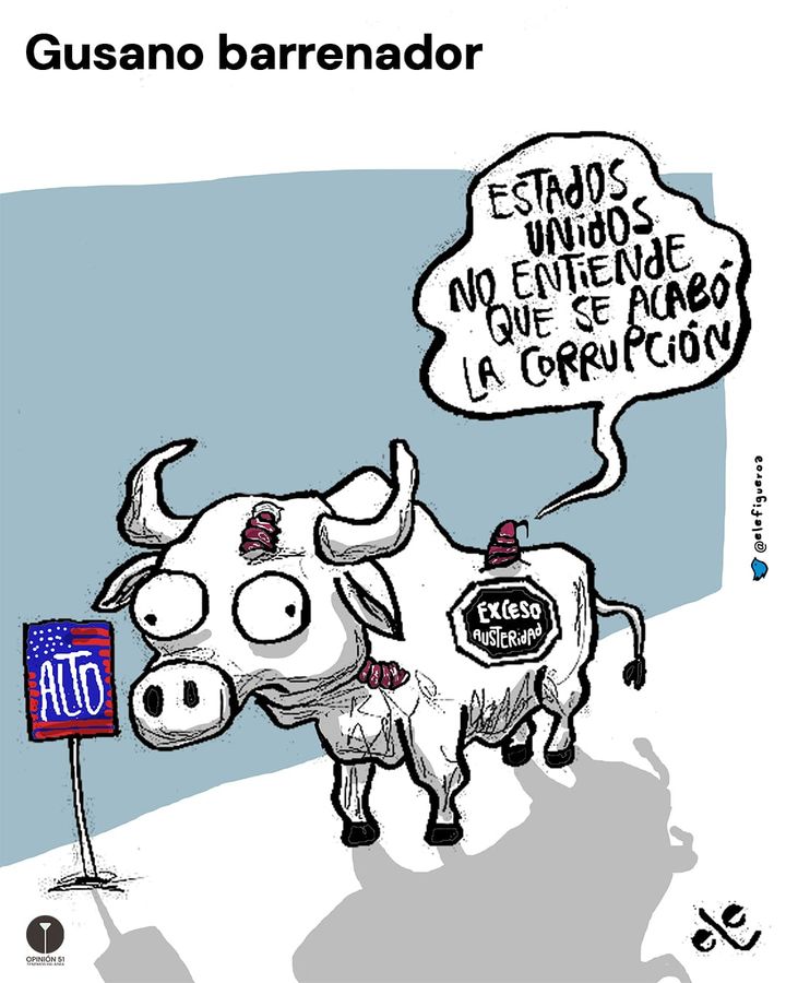 Gusano barrenador