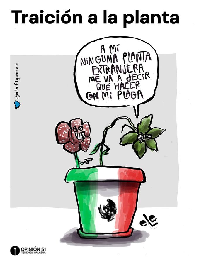 Traición a la planta