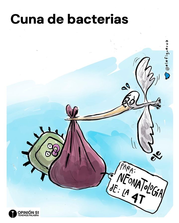 Cuna de bacterias