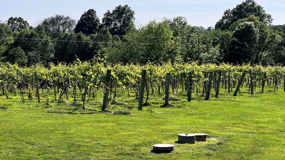 Boondocking To South Dakota - Vineyard Style