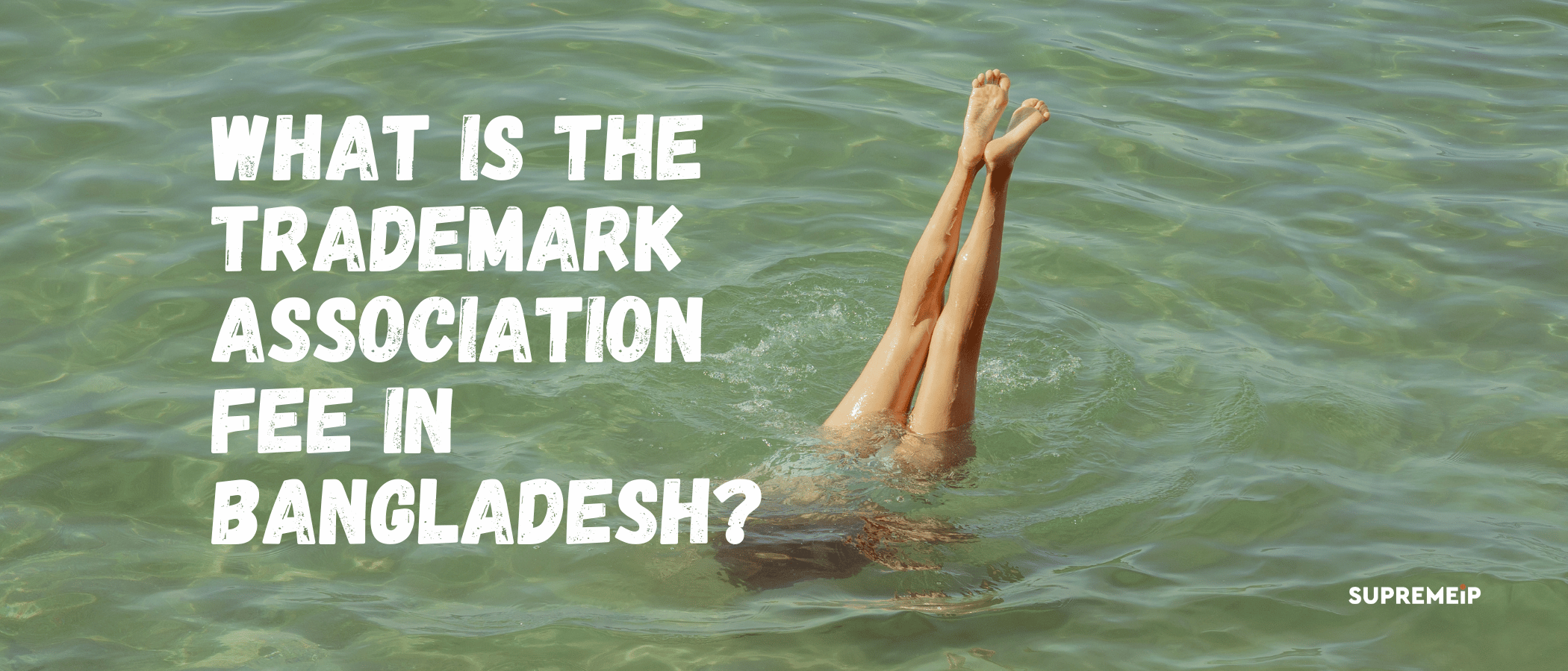 Understanding Association Fees in Bangladesh Trademark Filing