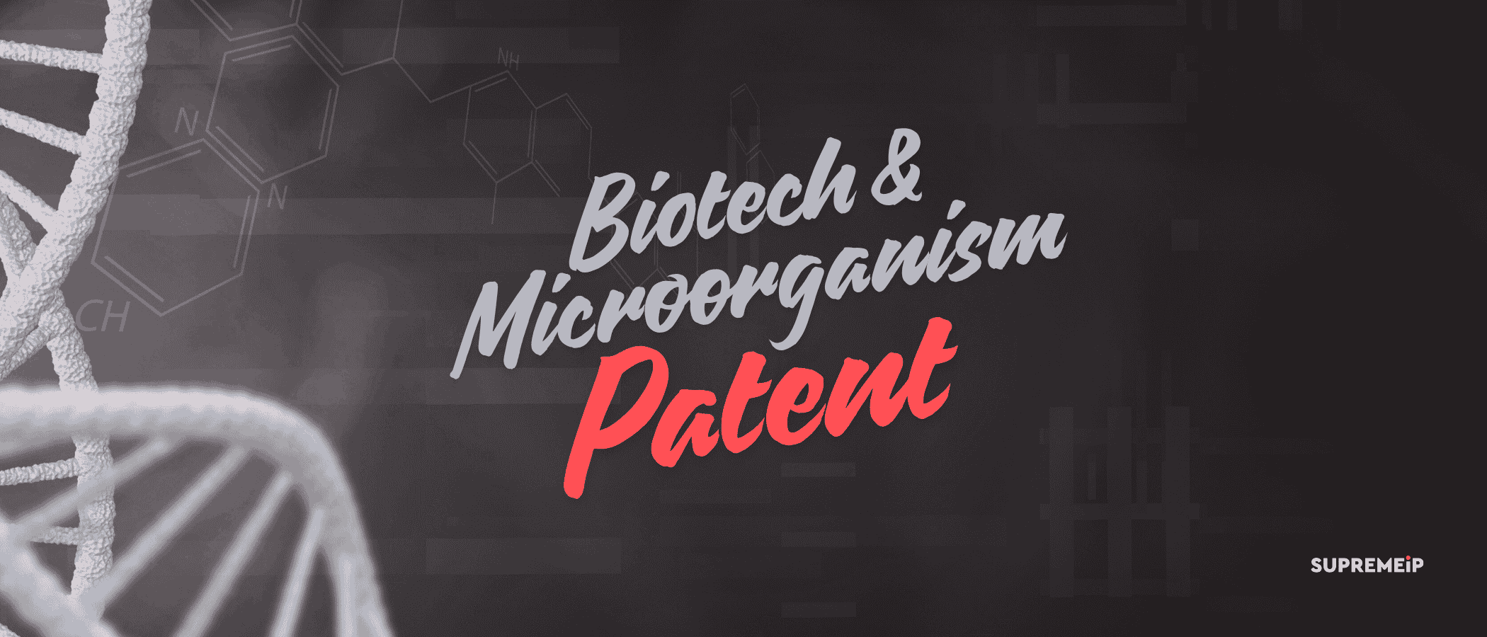 Biotech & Microorganism Patent Rules in Bangladesh