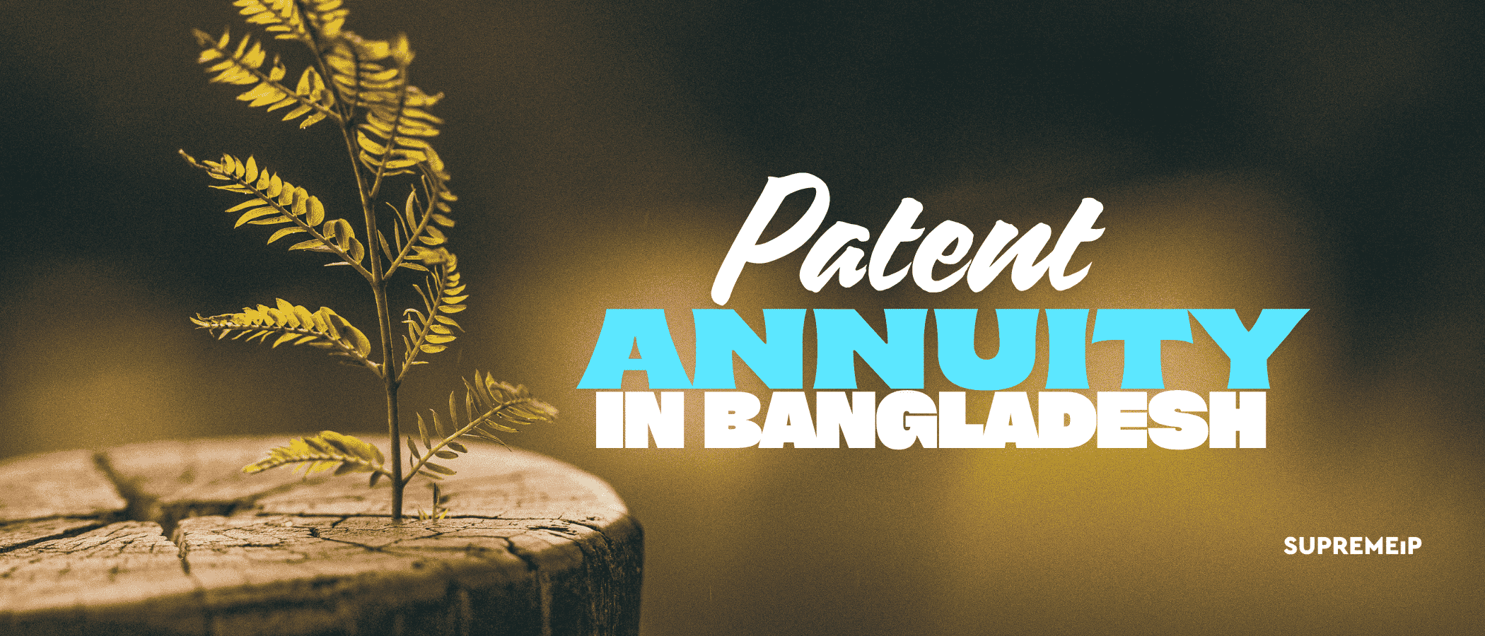 Patent Annuity in Bangladesh