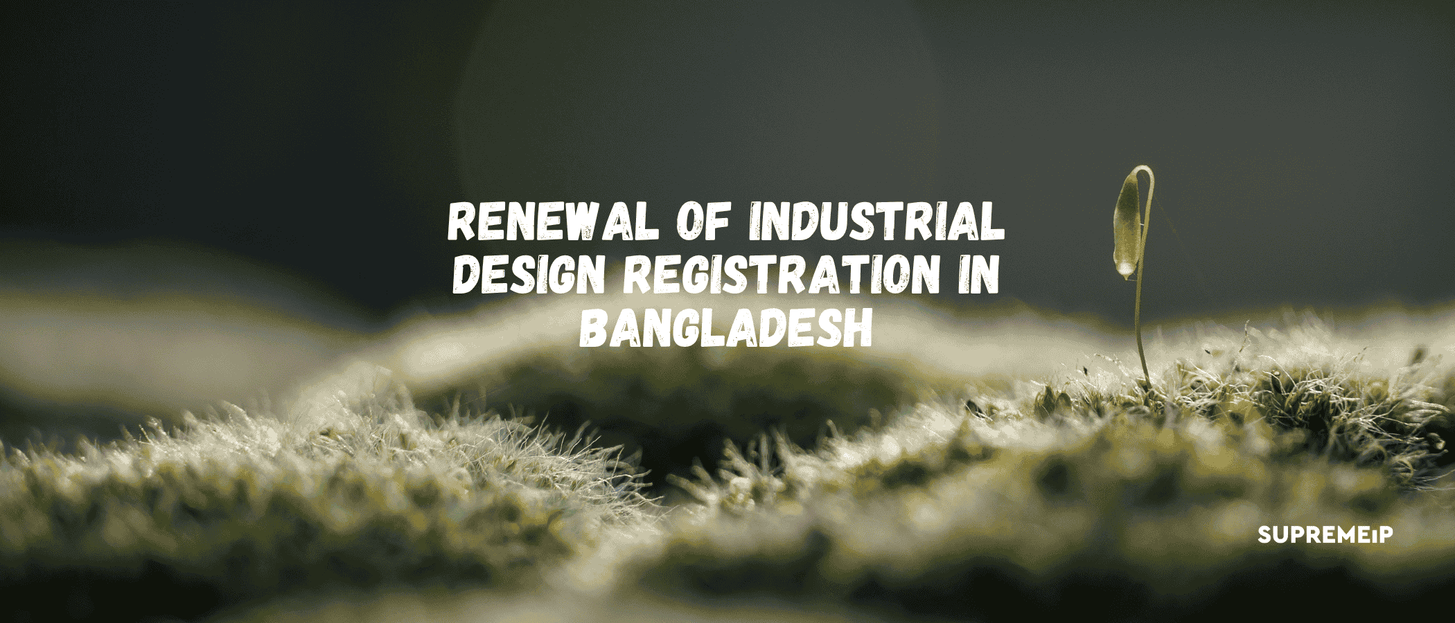 Renewal of Industrial Design Registration in Bangladesh