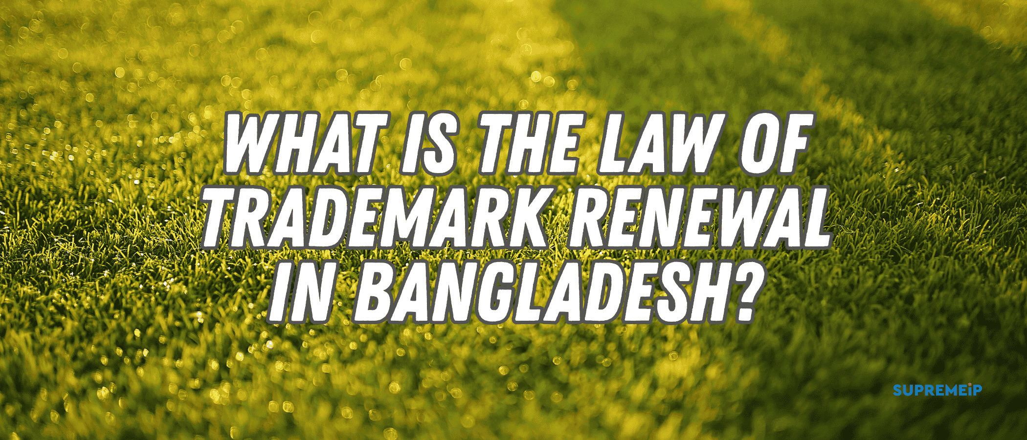 What is the Law of Trademark Renewal in Bangladesh – SUPREMEiP