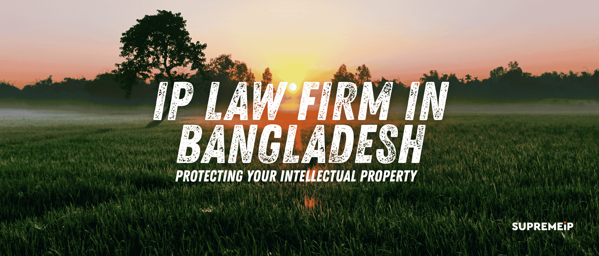 IP Law Firm in Bangladesh