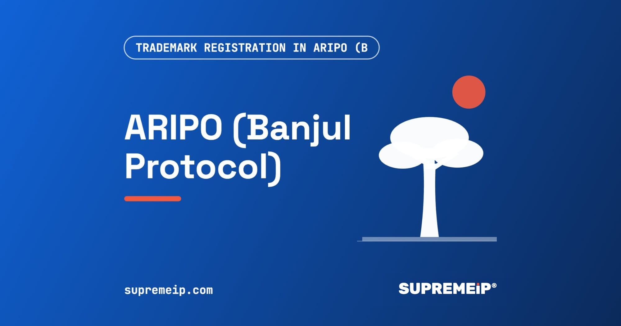 Baobab-style tree under a red sun, banner for the ARIPO Banjul Protocol trademark guide by SUPREMEiP®