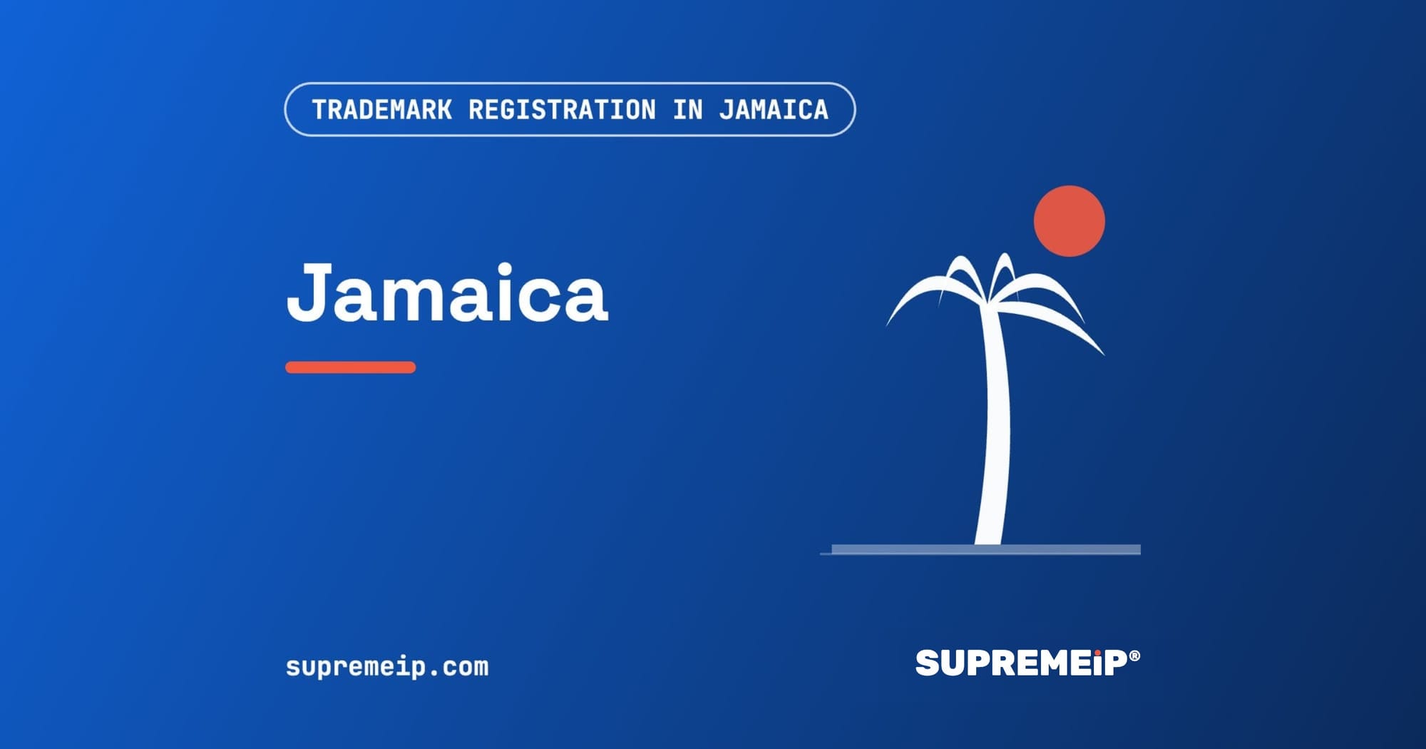 Palm tree under a red sun, banner for the Jamaica trademark guide by SUPREMEiP®