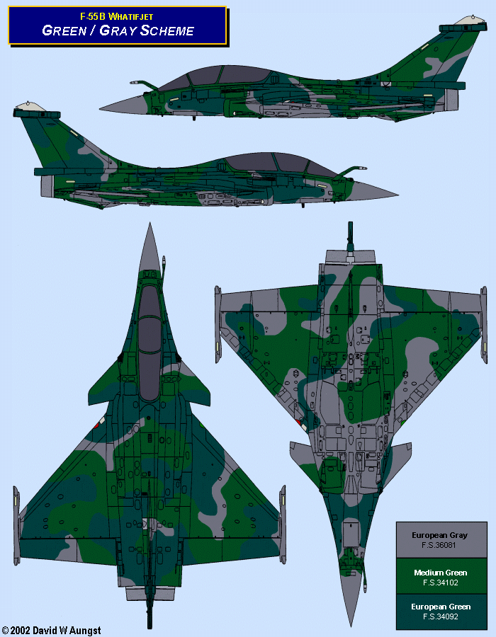 David W. Aungst F-55B Whatifjet Green and Gray Scheme in four Rafale B orthographic views.