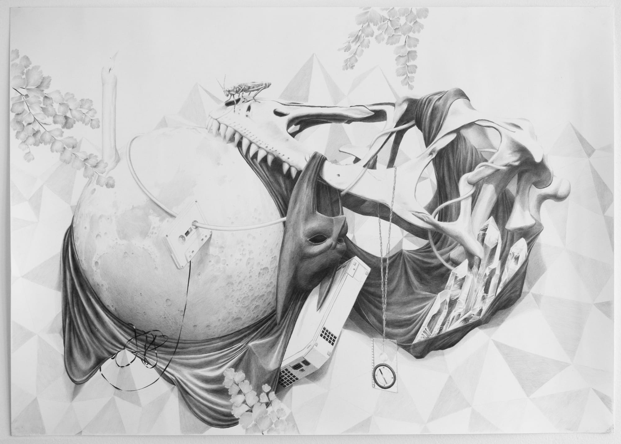 Graphite collage from Boolean Values with an open-jawed animal skull, insect, bat mask, computer, cassette, crystals, fabric, and plants.