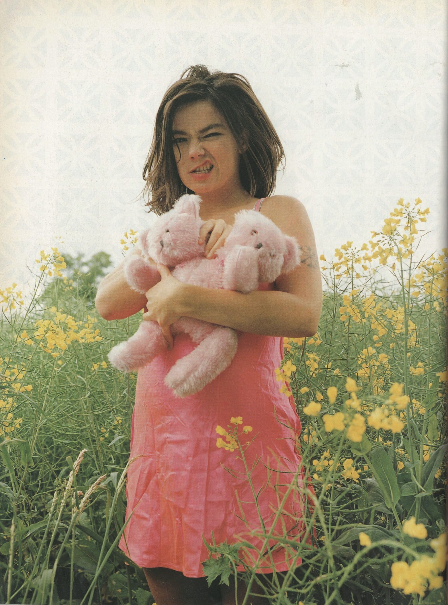 Björk feature, page 29