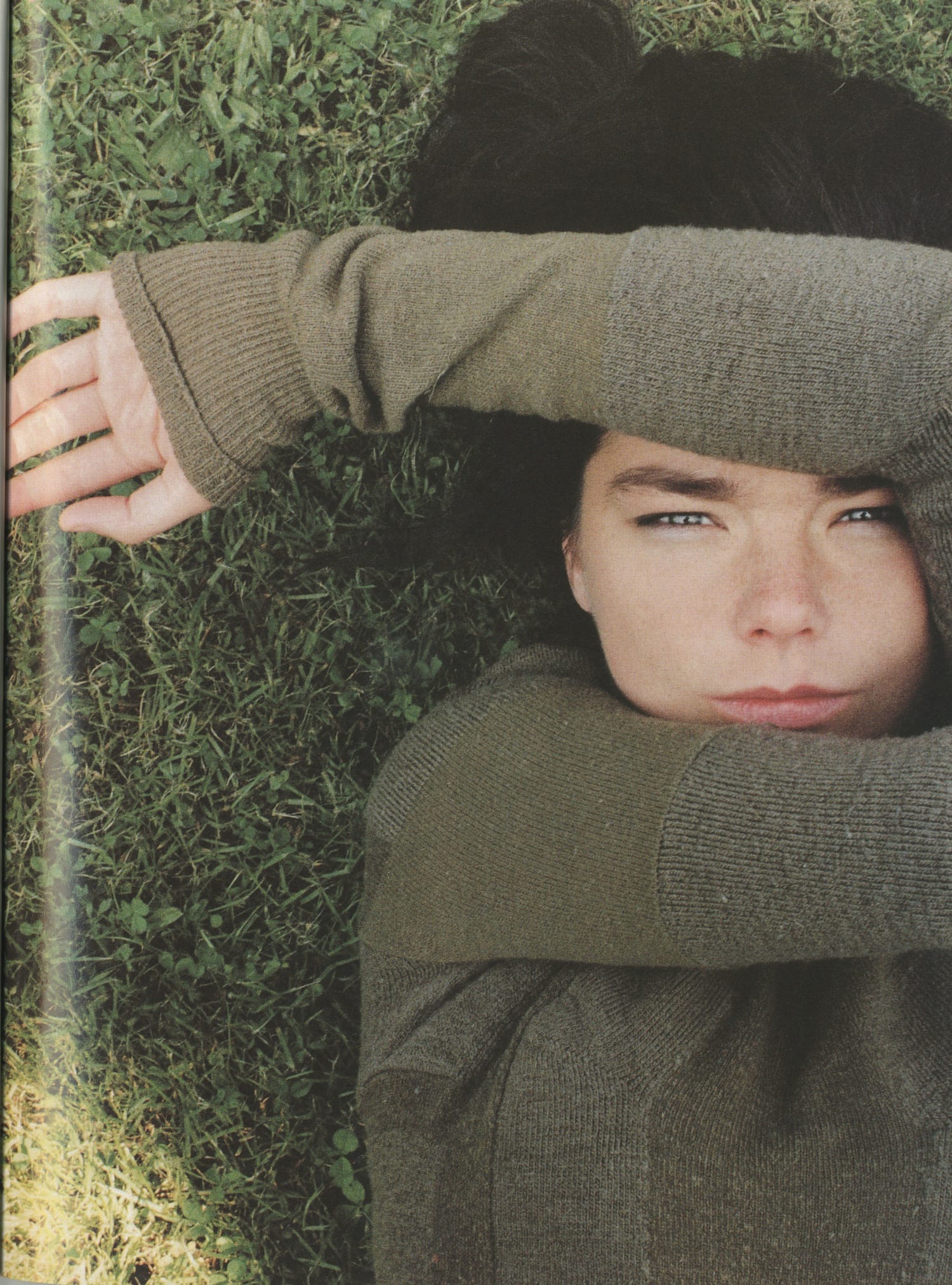 Björk feature, page 32
